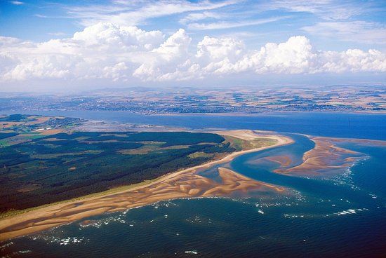 Tentsmuir National Nature Reserve
